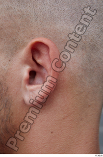 Street  647 ear 0001.jpg